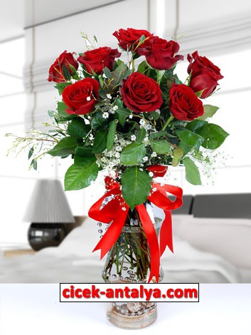 fanusda-11-kirmizi-gul-vn9