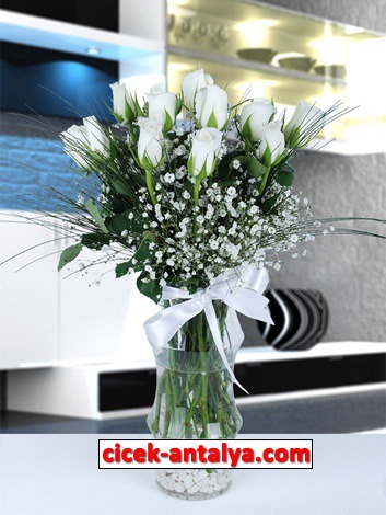 napoli-camda-11-beyaz-gul